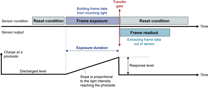 Area-scan Exposure and Readout