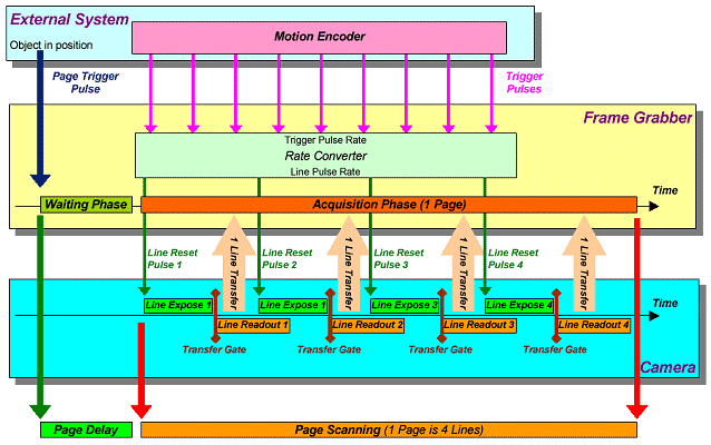 Line Scan Encoder Line-Scan Camera and System Relationship